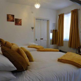 Kings Arms Hotel Holsworthy Eksteriør billede